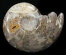 Crystal Filled Ammonite - Khenifra, Morocco #35287-2
